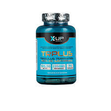 descarga1 X-UP TR PLUS TRIBULUS 90 CAP